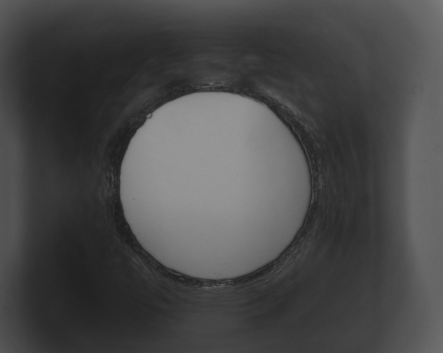 X0000100891447200806240958