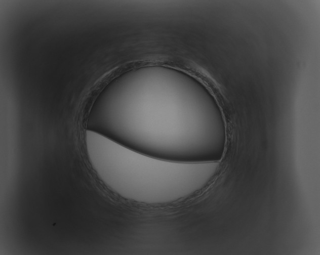 X0000100891448200806240958