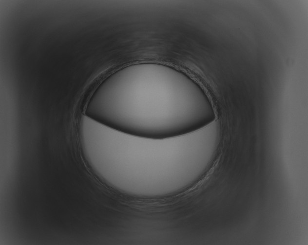 X0000100891450200806240958