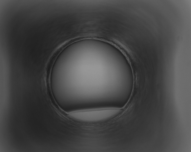 X0000100891452200806240958