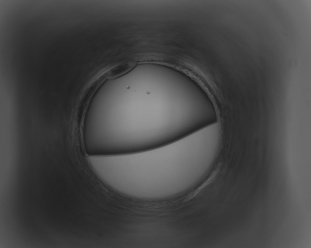 X0000100891453200806240958