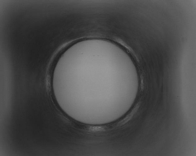 X0000100891454200806240958