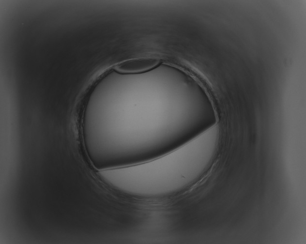 X0000100891455200806240958