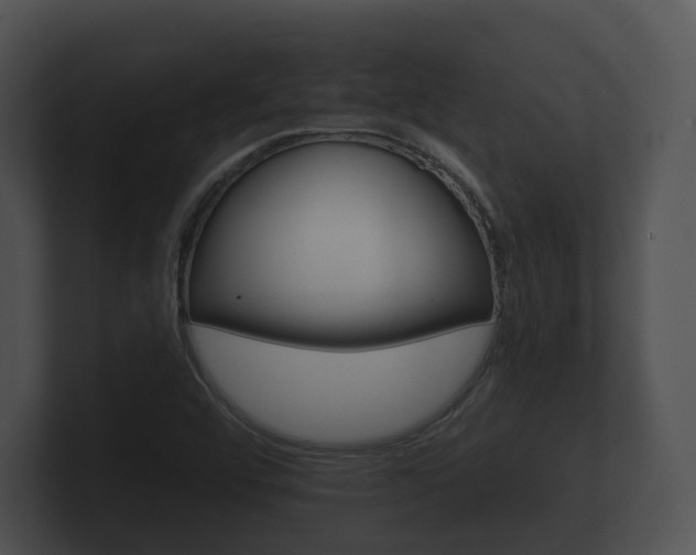 X0000100891456200806240958