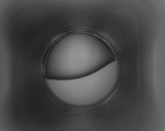 X0000100891457200806240958