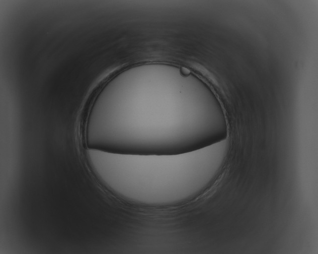 X0000100891458200806240958