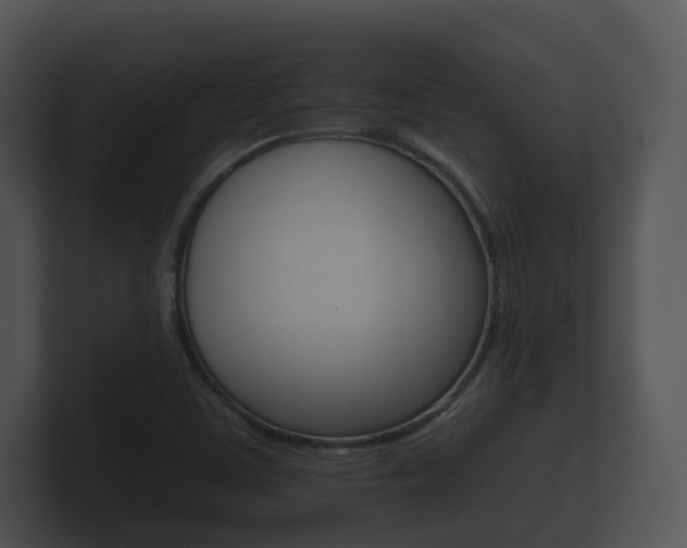 X0000100891459200806240958