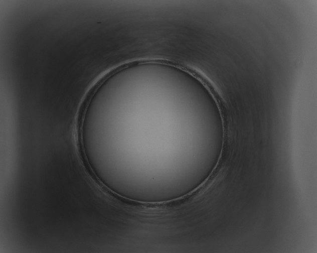 X0000100891460200806240958