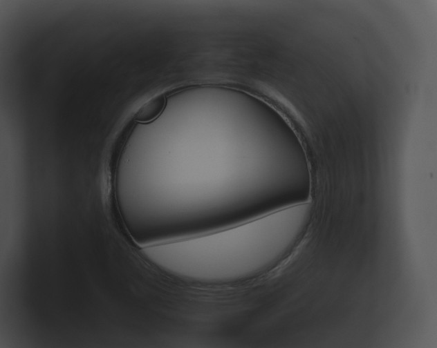 X0000100891461200806240958