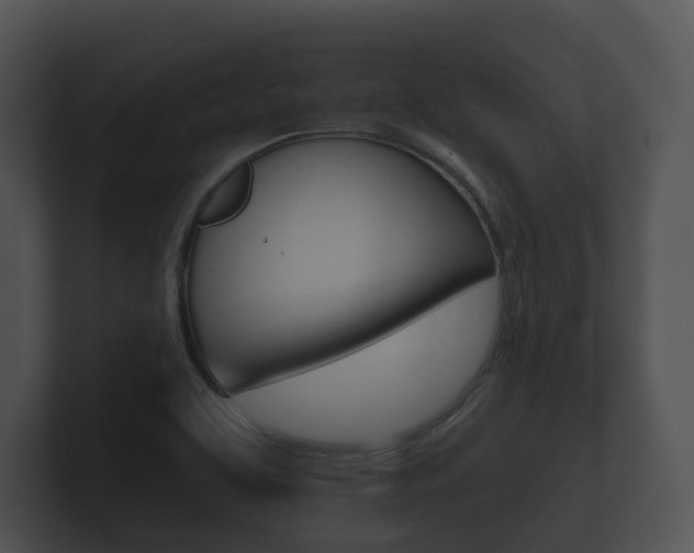X0000100891463200806240958