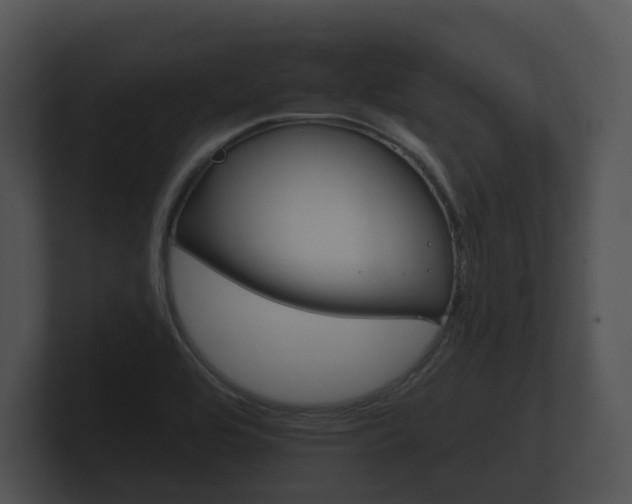 X0000100891464200806240958