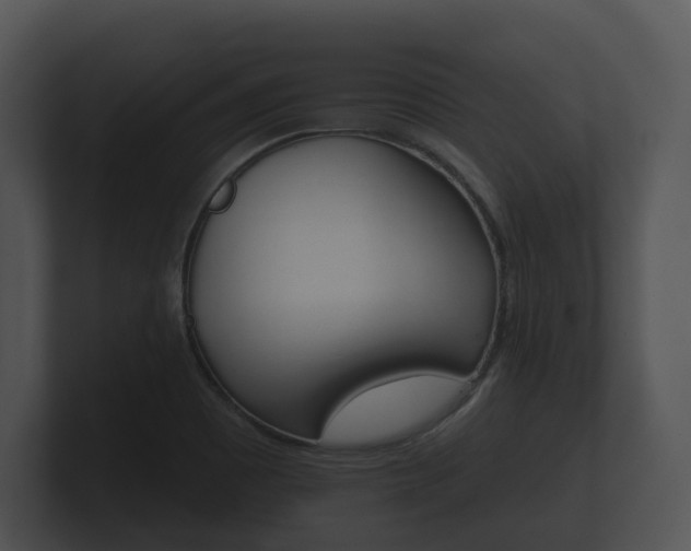 X0000100891465200806240958