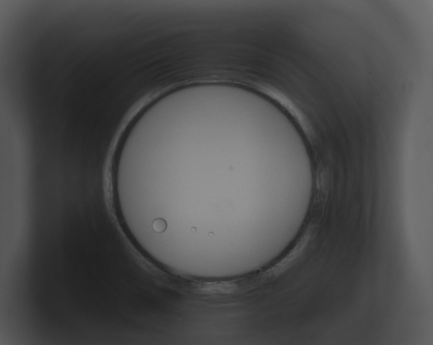 X0000100891466200806240958