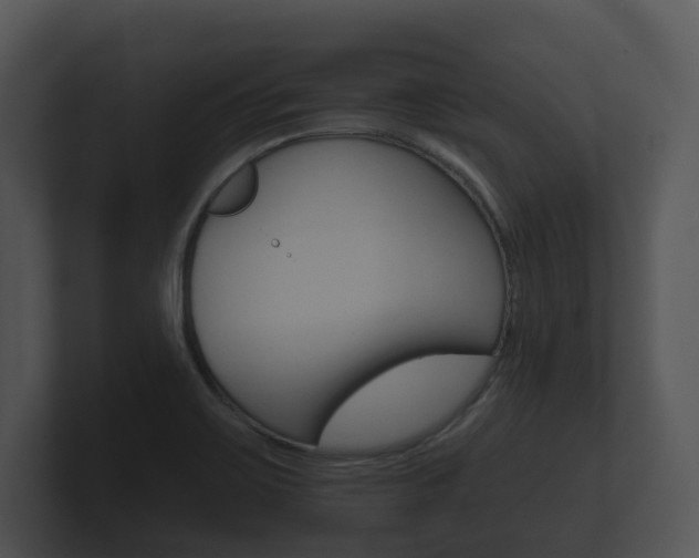 X0000100891467200806240958