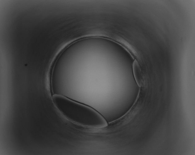X0000100891468200806240958