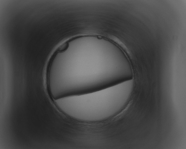 X0000100891469200806240958