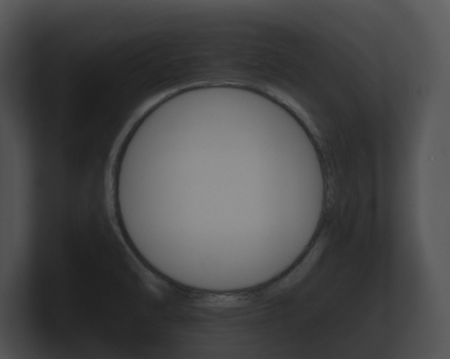 X0000100891470200806240958