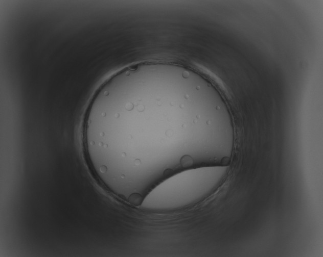 X0000100891471200806240958