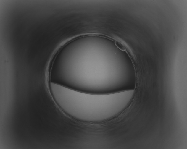 X0000100891472200806240958