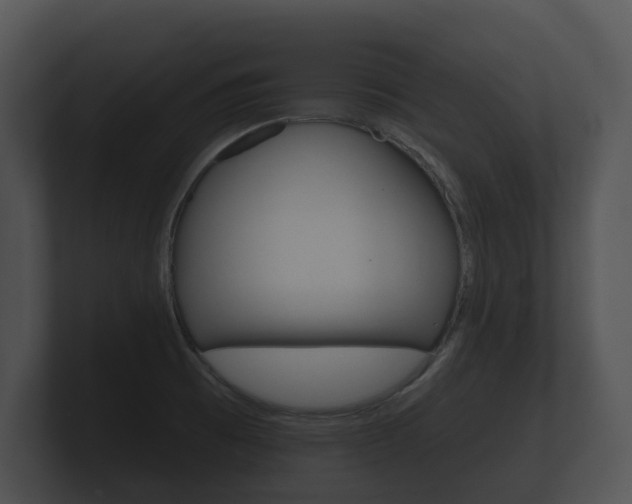 X0000100891473200806240958