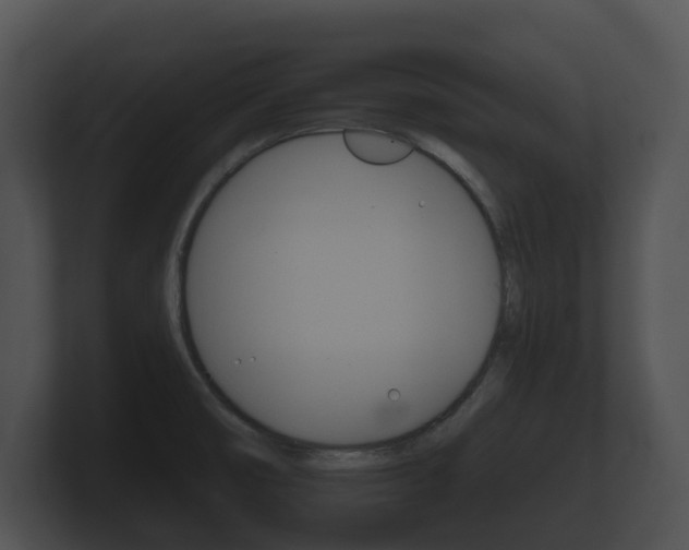 X0000100891474200806240958