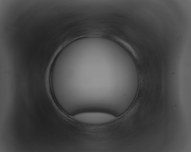 X0000100891475200806240958