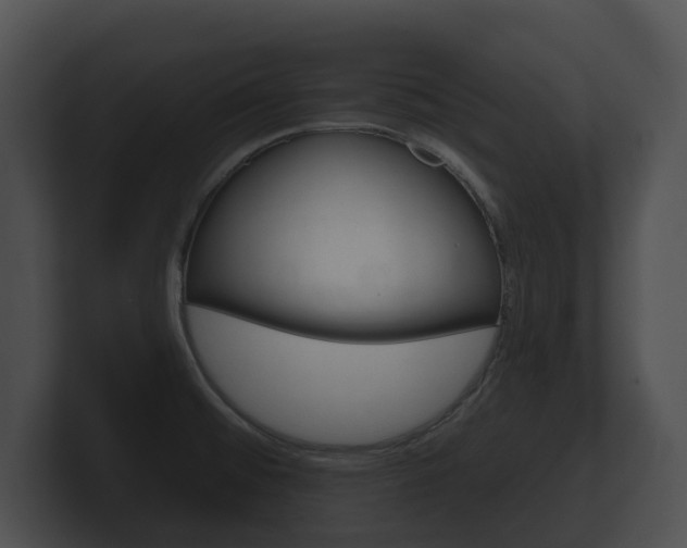 X0000100891476200806240958