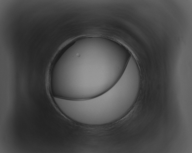 X0000100891477200806240958