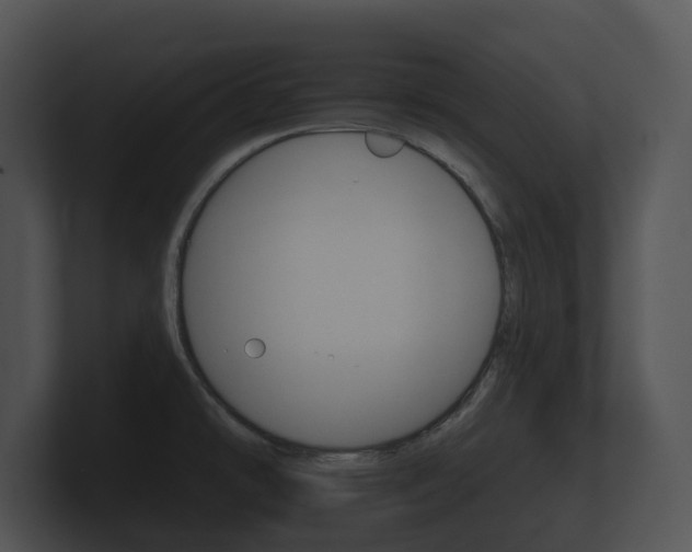X0000100891478200806240958