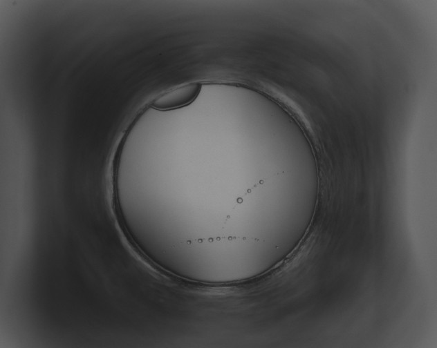 X0000100891479200806240958