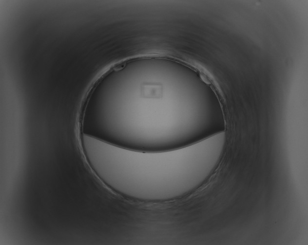 X0000100891480200806240958