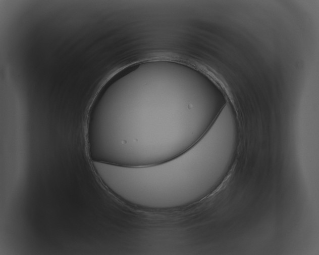 X0000100891481200806240958