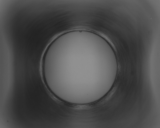 X0000100891482200806240958