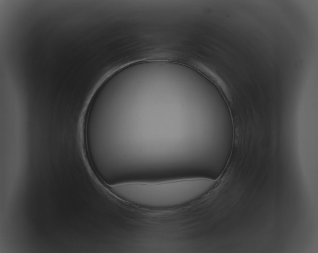 X0000100891483200806240958
