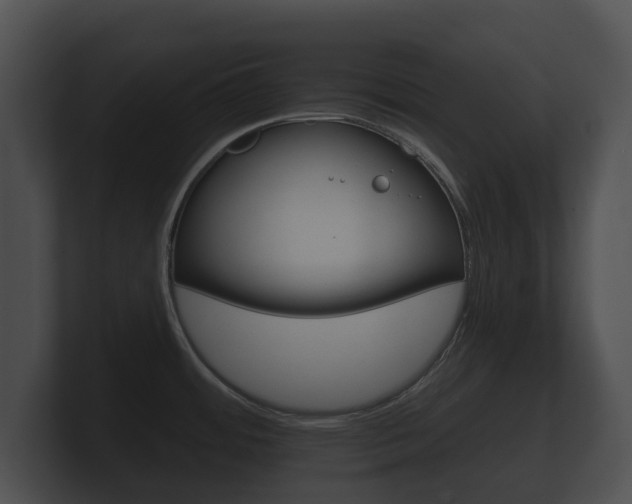 X0000100891484200806240958