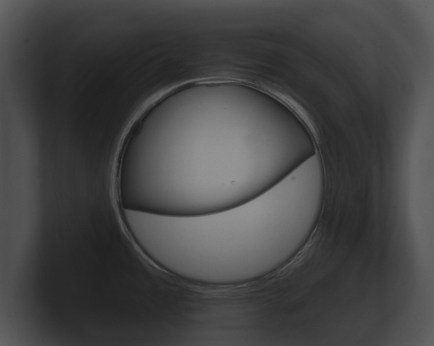 X0000100891485200806240958