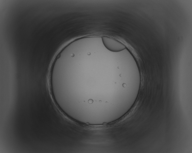 X0000100891486200806240958