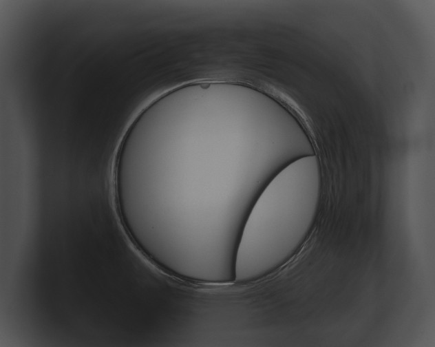 X0000100891487200806240958