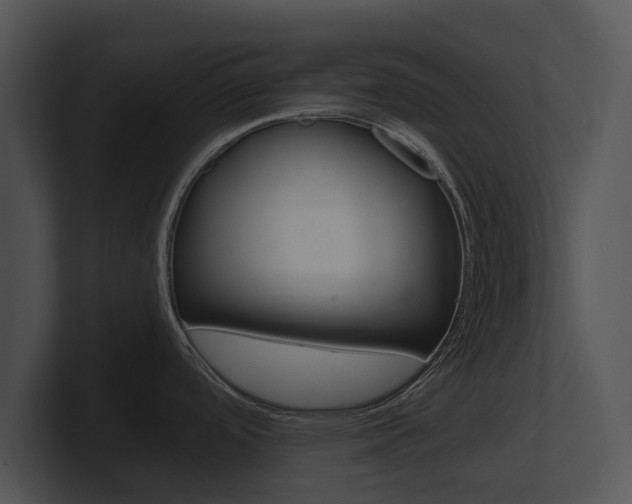 X0000100891488200806240958