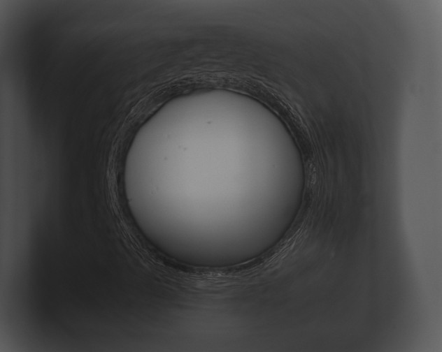 X0000100891489200806240957