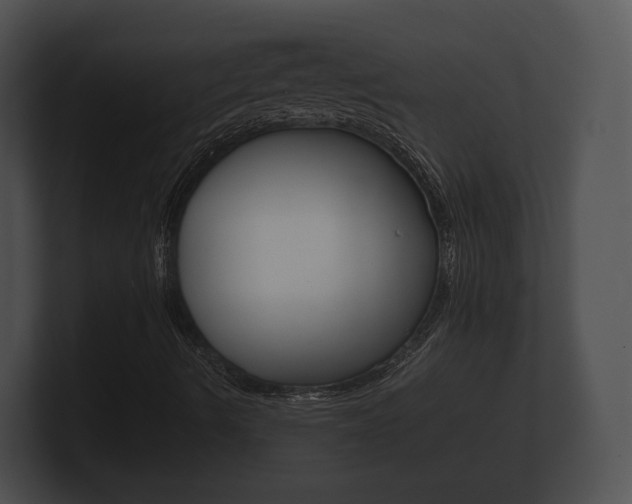 X0000100891490200806240957