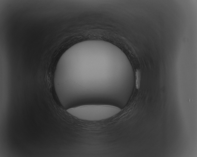 X0000100891491200806240957
