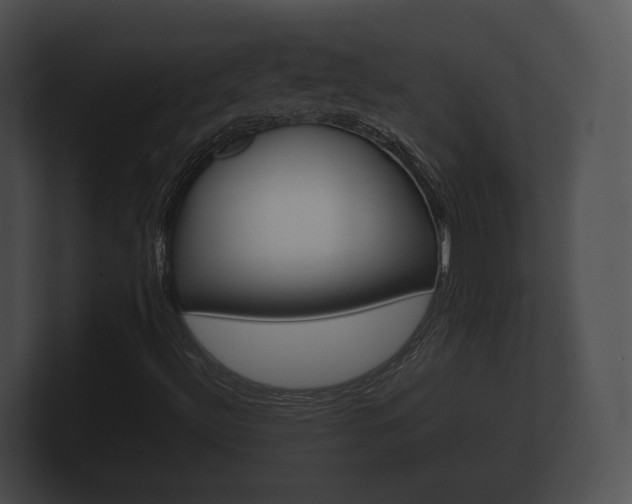 X0000100891492200806240957