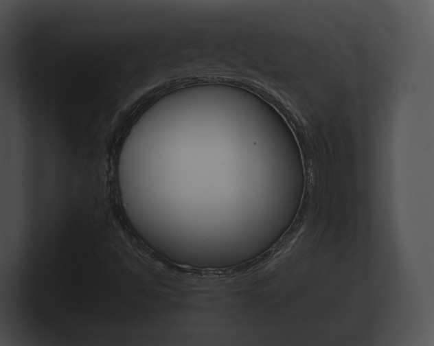 X0000100891494200806240957