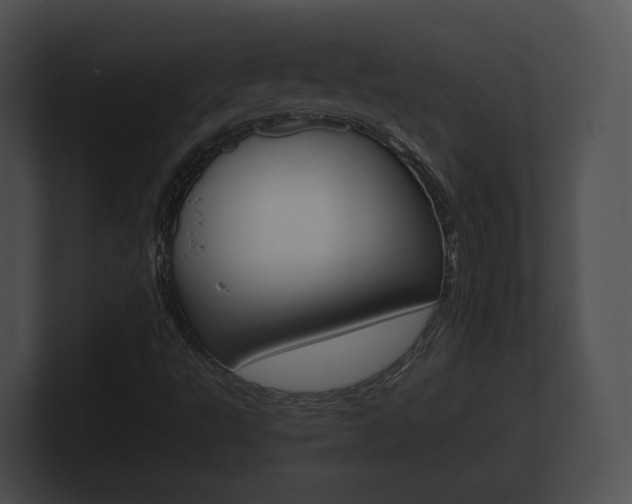 X0000100891495200806240957