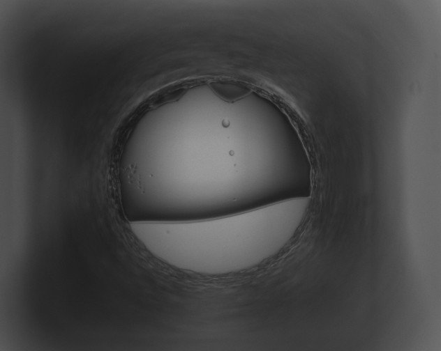 X0000100891496200806240957