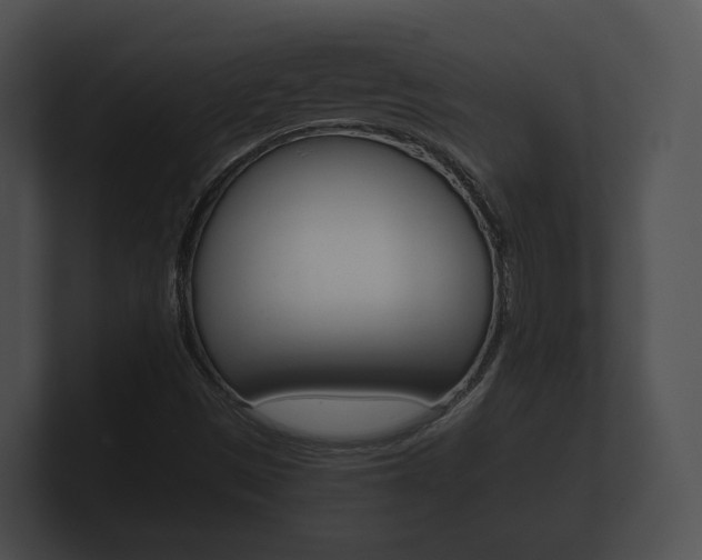 X0000100891497200806240957