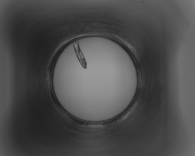 X0000100891498200806240957