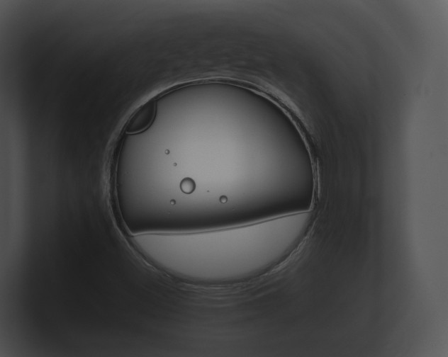 X0000100891500200806240957