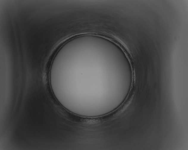 X0000100891501200806240957